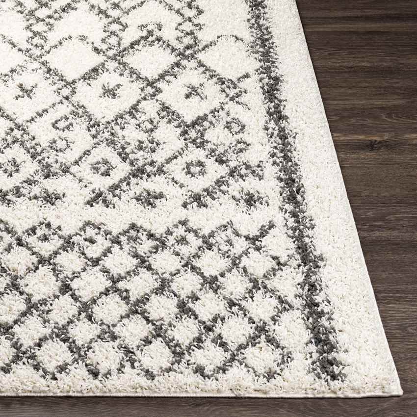 Grieth Modern Charcoal Area Rug