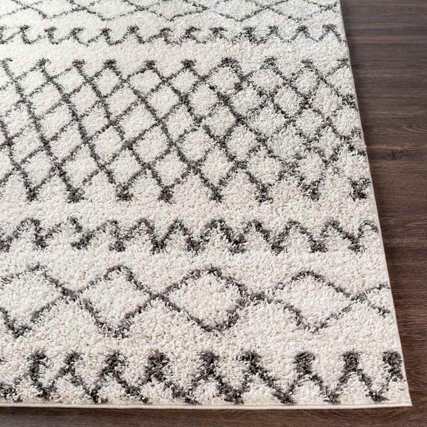 Haarlo Global Cream Area Rug