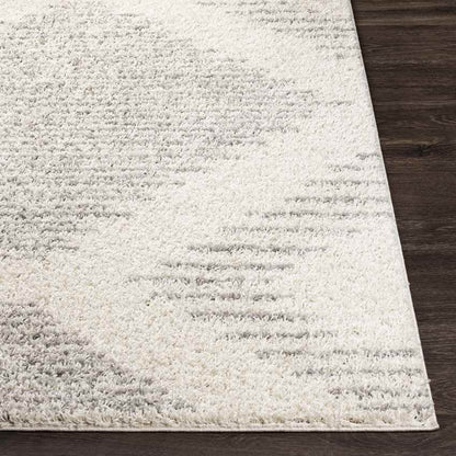 Heelweg Global Medium Gray Area Rug