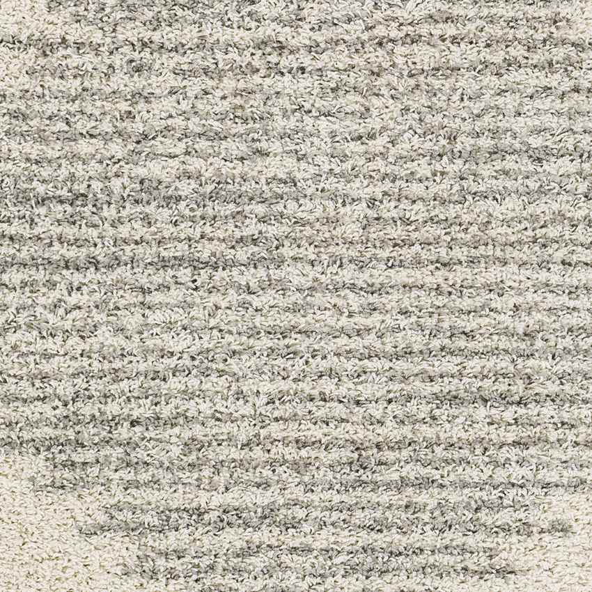 Heelweg Global Medium Gray Area Rug