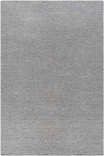 Bijvanck Modern Gray Area Rug
