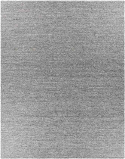 Bijvanck Modern Gray Area Rug