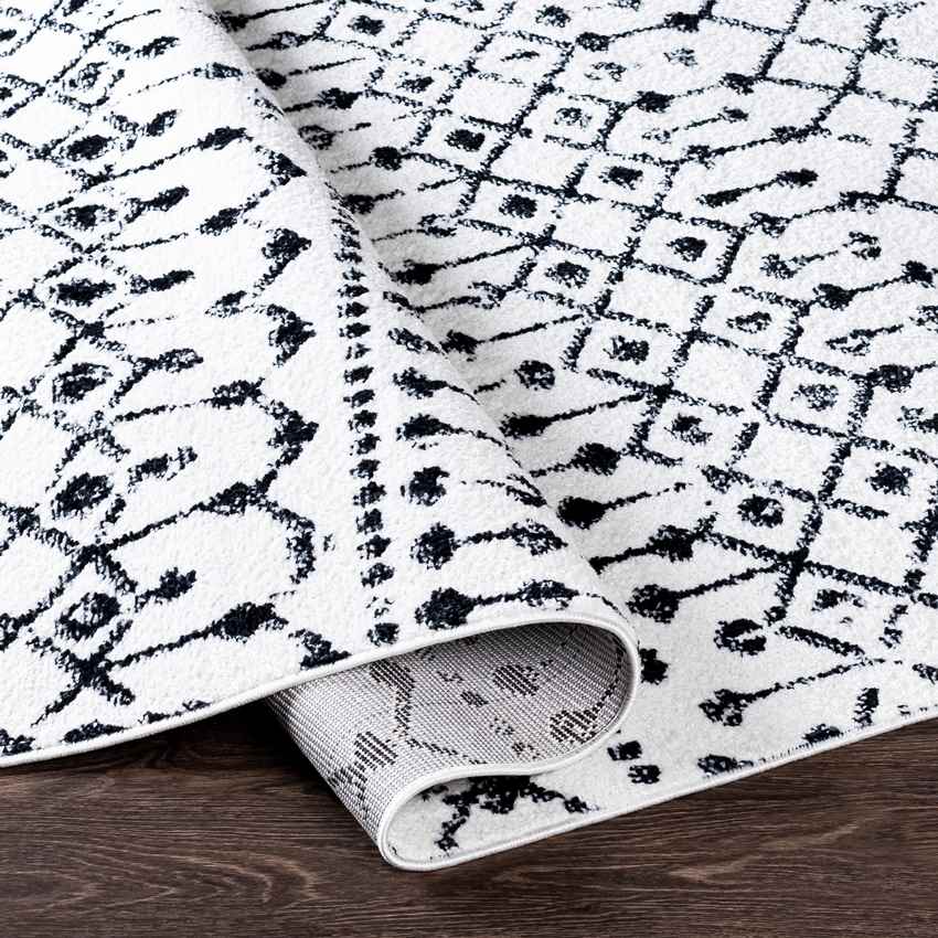 Edam Global Black Area Rug