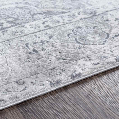 Groet Traditional Medium Gray Area Rug