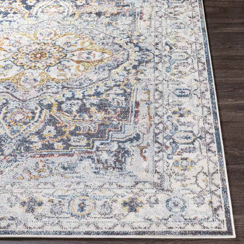 Hauwert Traditional Light Gray Area Rug