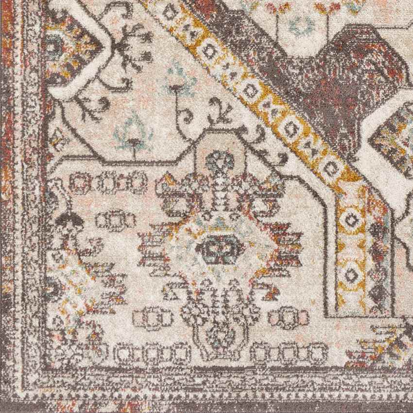 Heemskerk Traditional Brick Area Rug