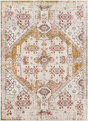Heemskerk Traditional Burnt Orange Area Rug