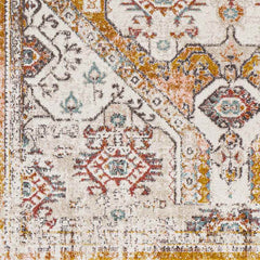 Heemskerk Traditional Burnt Orange Area Rug