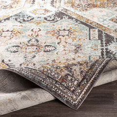 Heemskerk Traditional Pale Pink Area Rug