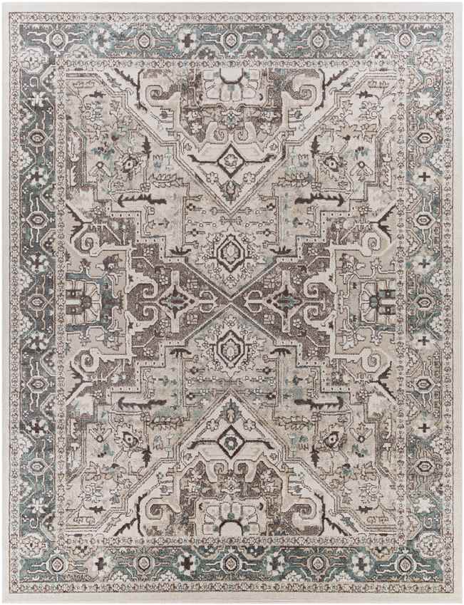 Heiloo Traditional Charcoal Area Rug