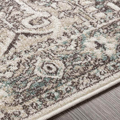 Heiloo Traditional Charcoal Area Rug