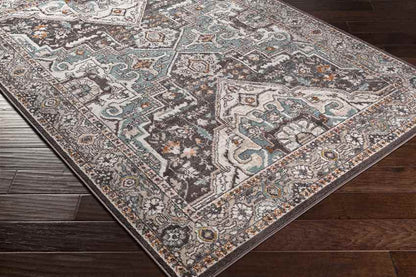 Heiloo Traditional Burnt Orange Area Rug