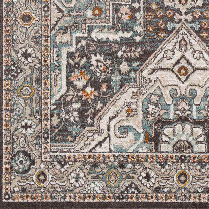 Heiloo Traditional Burnt Orange Area Rug