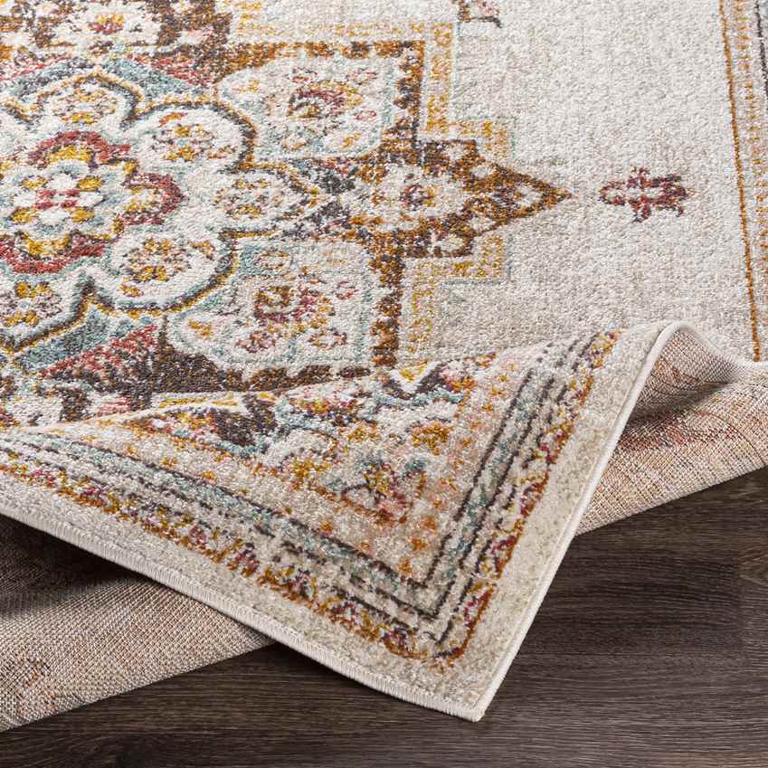 Huigsloot Traditional Brick Area Rug