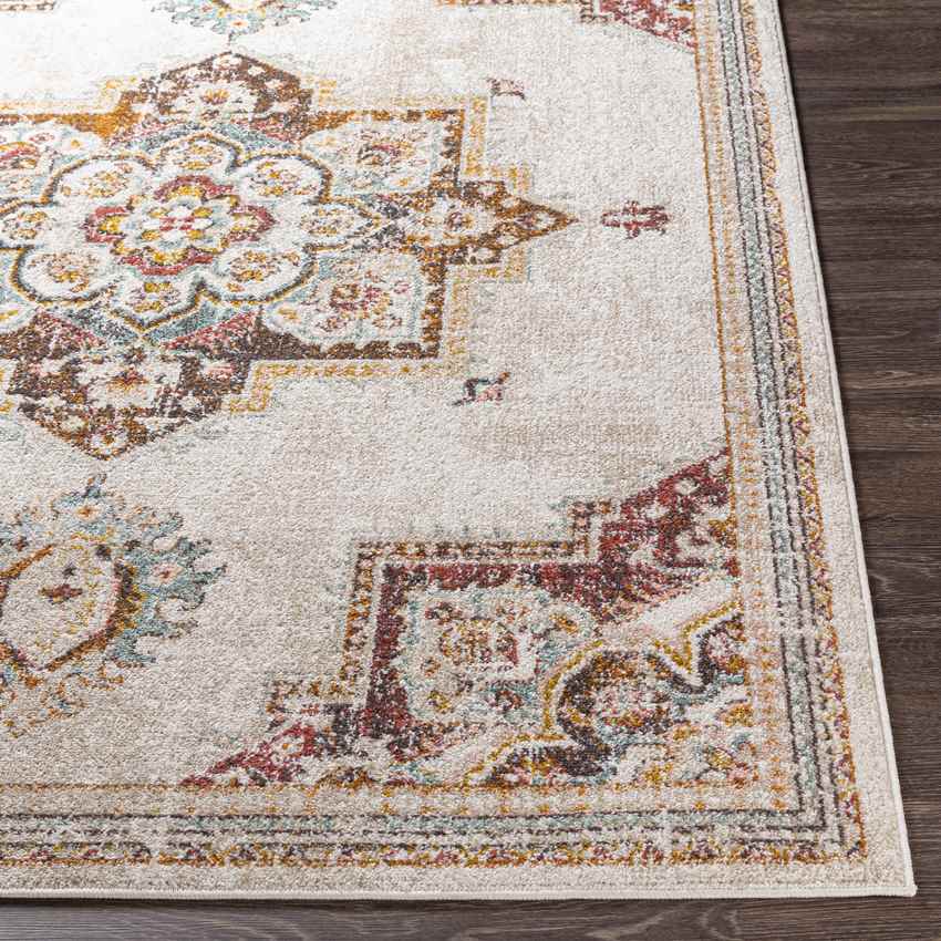 Huigsloot Traditional Brick Area Rug