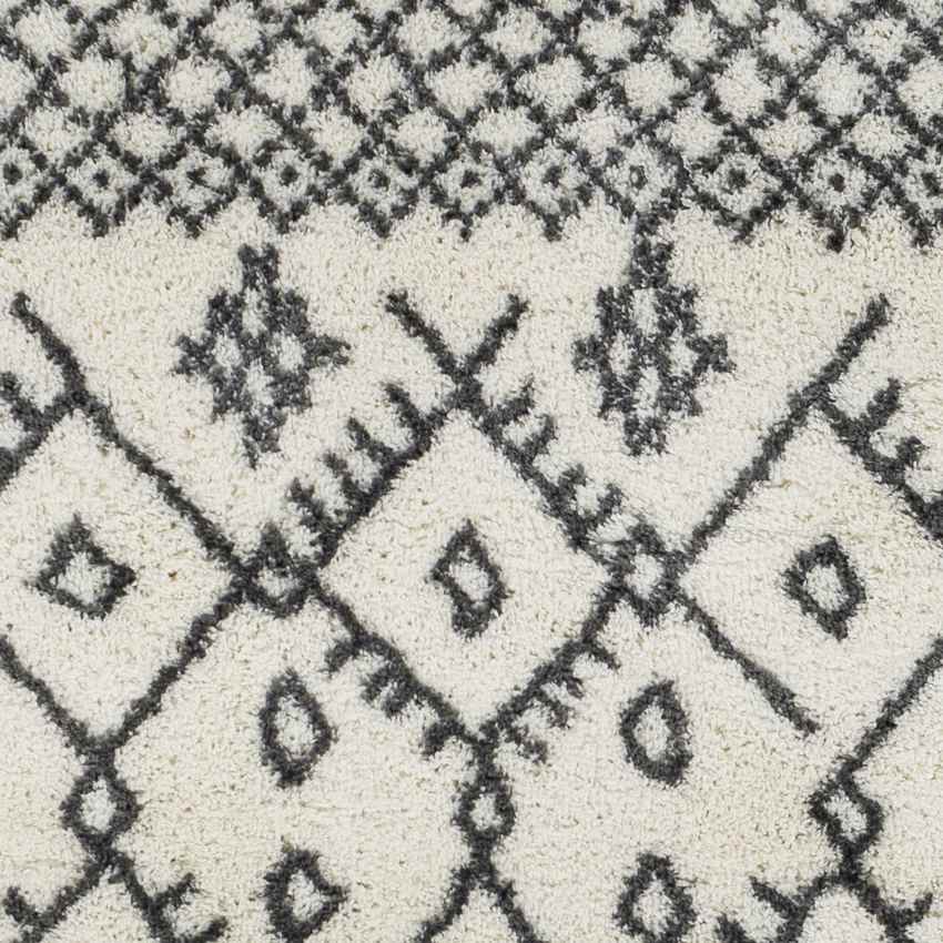 Koedijk Global Charcoal Area Rug