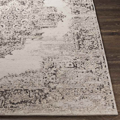 Naarden Traditional Light Gray Area Rug