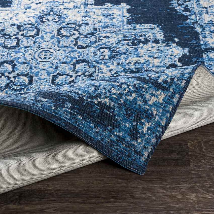 Naarden Traditional Sky Blue Area Rug