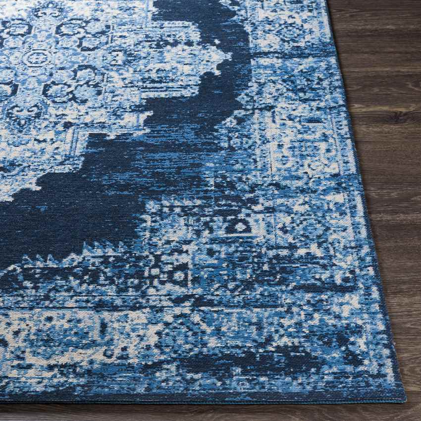 Naarden Traditional Sky Blue Area Rug