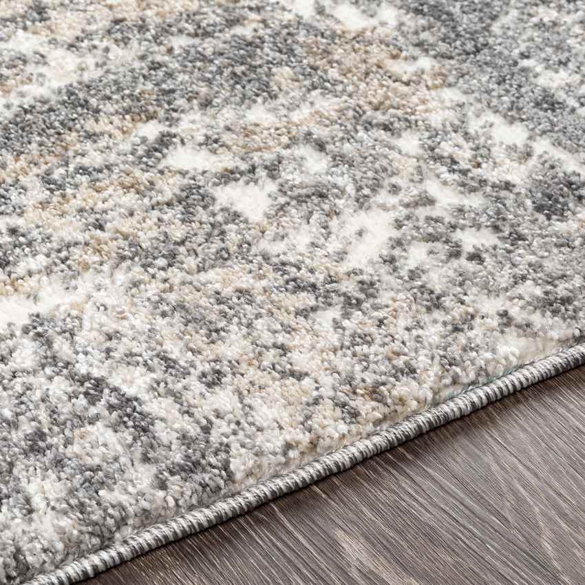 Oosterzij Modern Medium Gray Area Rug