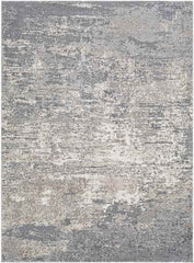 Oostzaan Modern Medium Gray Area Rug