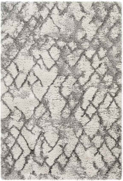 Oudorp Modern Medium Gray Area Rug