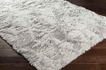 Overveen Modern Light Gray Area Rug