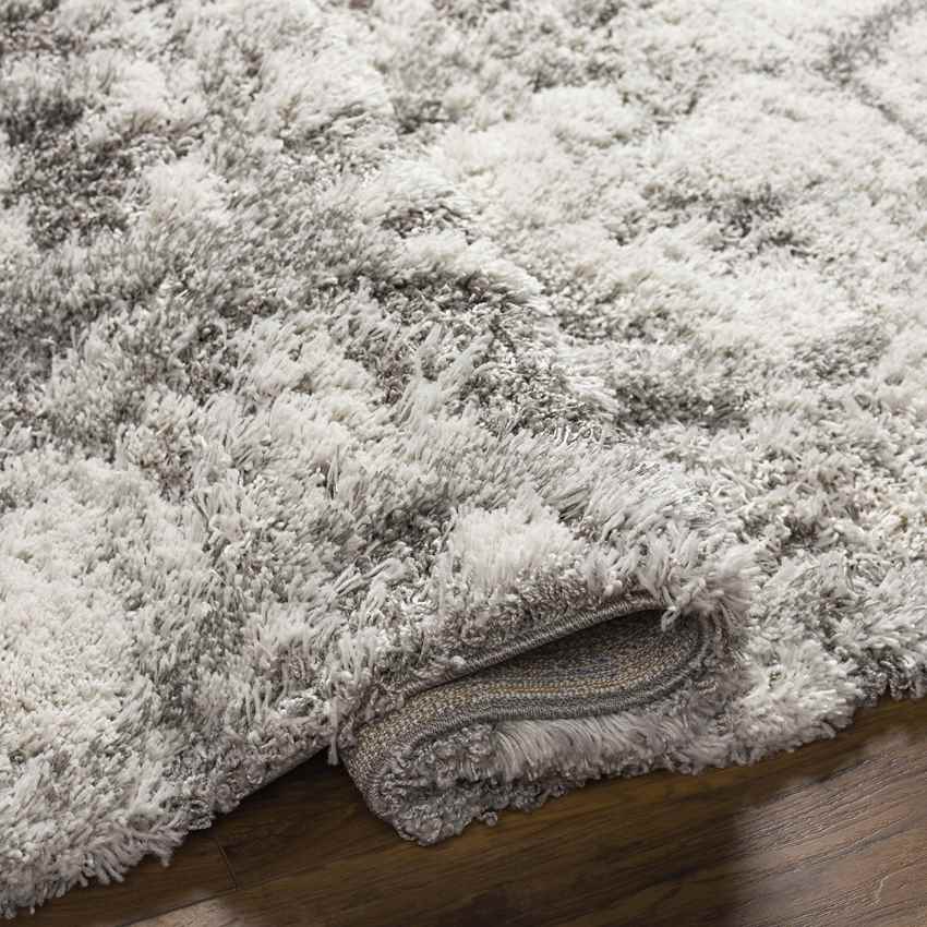 Overveen Modern Light Gray Area Rug