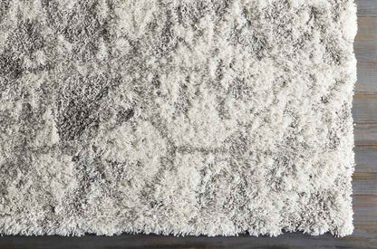 Overveen Modern Light Gray Area Rug