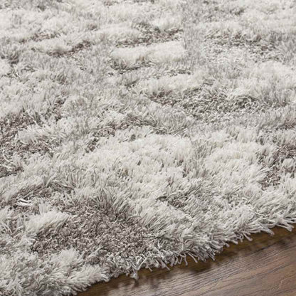 Overveen Modern Light Gray Area Rug