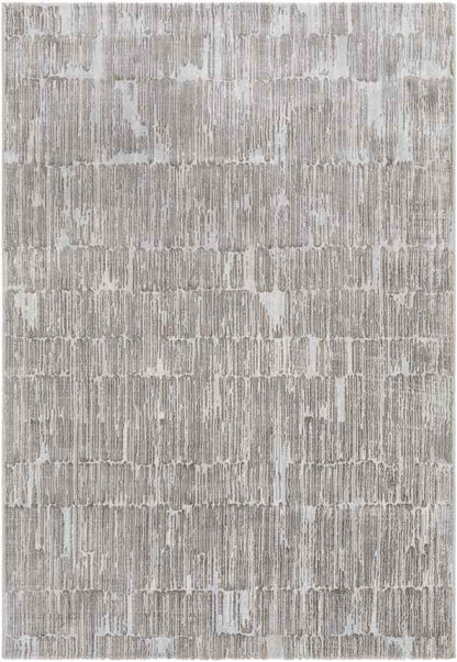 Schagen Modern Light Gray Area Rug