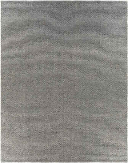 Spanbroek Modern Charcoal Area Rug