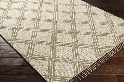 Masham Global Light Gray Area Rug