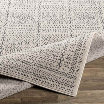 Tin Global Beige Area Rug