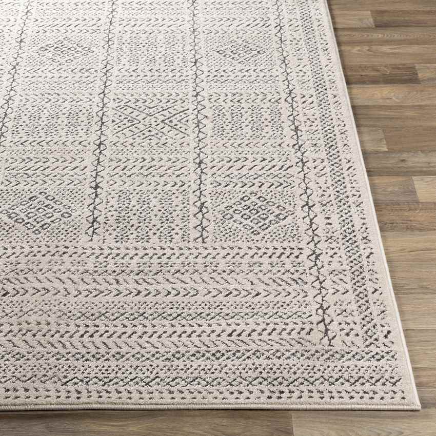 Tin Global Beige Area Rug