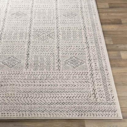 Tin Global Beige Area Rug