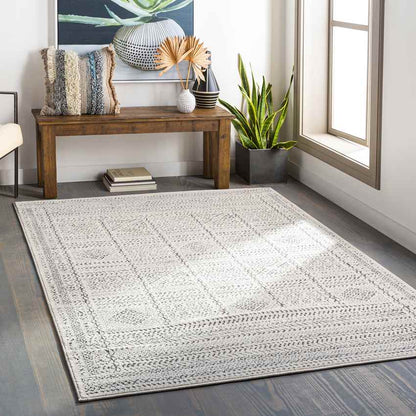 Tin Global Beige Area Rug