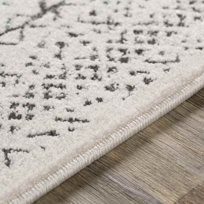Tin Global Beige Area Rug
