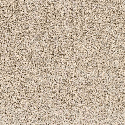 Tuindorp Modern Beige Area Rug