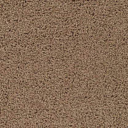 Tuindorp Modern Light Brown Area Rug