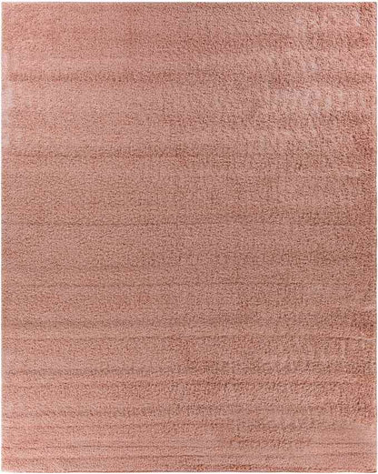 Tuindorp Modern Pale Pink Area Rug