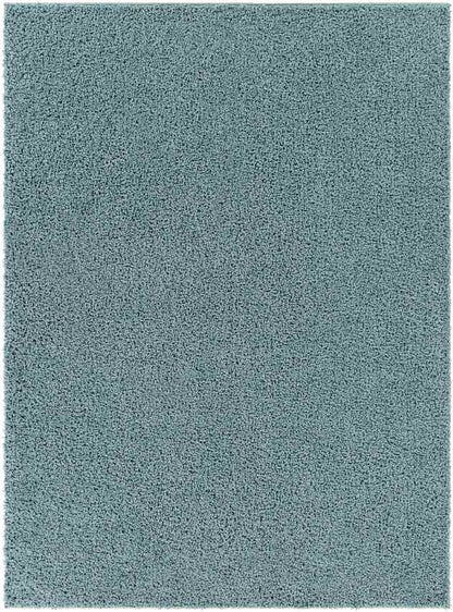 Tuindorp Modern Teal Area Rug