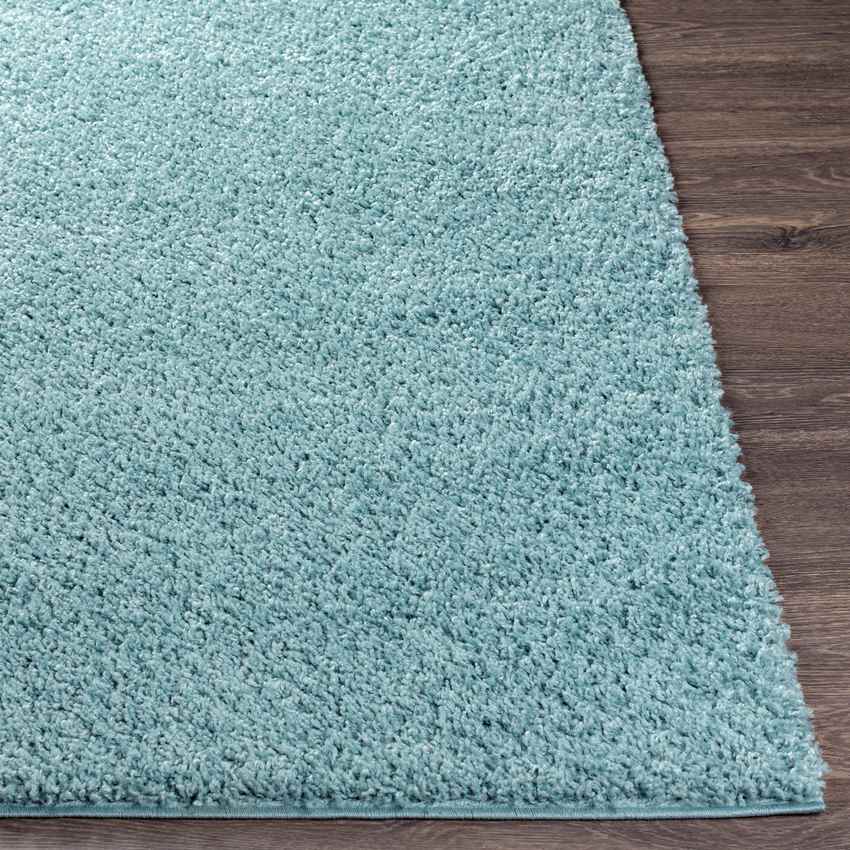 Tuindorp Modern Teal Area Rug