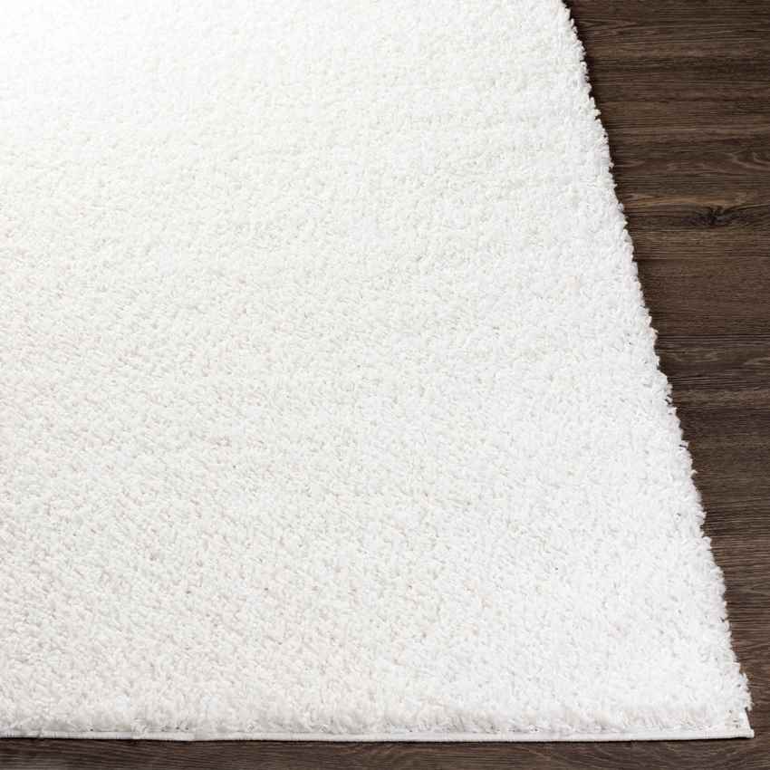 Tuindorp Modern White Area Rug