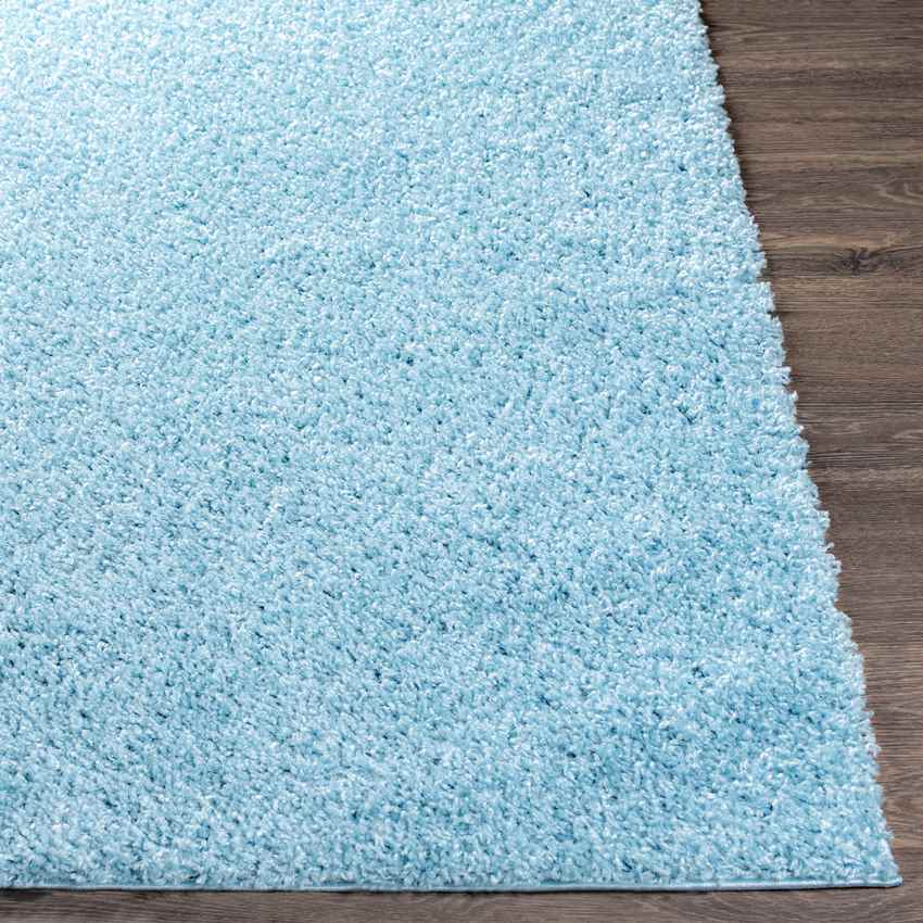 Tuindorp Modern Sky Blue Area Rug