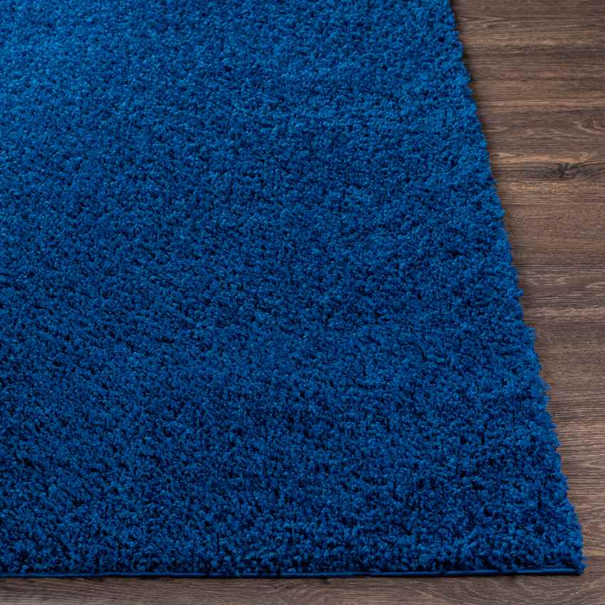 Tuindorp Modern Navy Area Rug