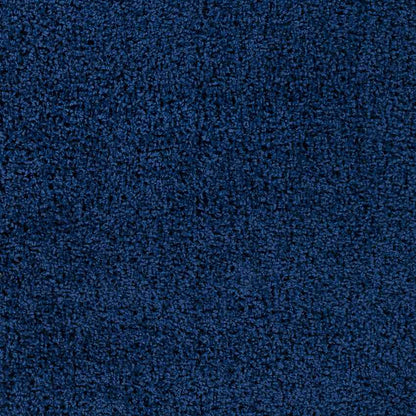 Tuindorp Modern Navy Area Rug