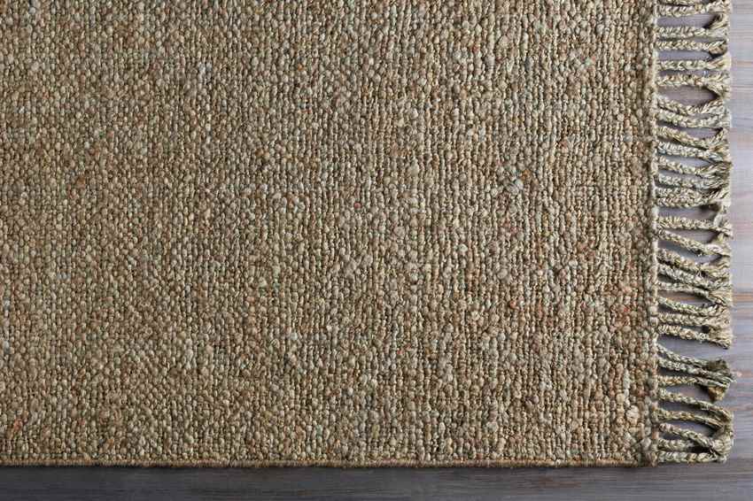 Valkkoog Cottage Camel Area Rug