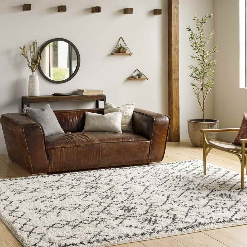 Wijmers Global Cream Area Rug
