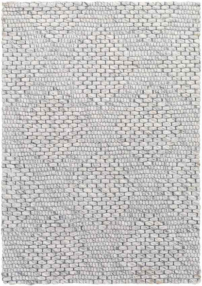 Baarschot Modern Charcoal Area Rug
